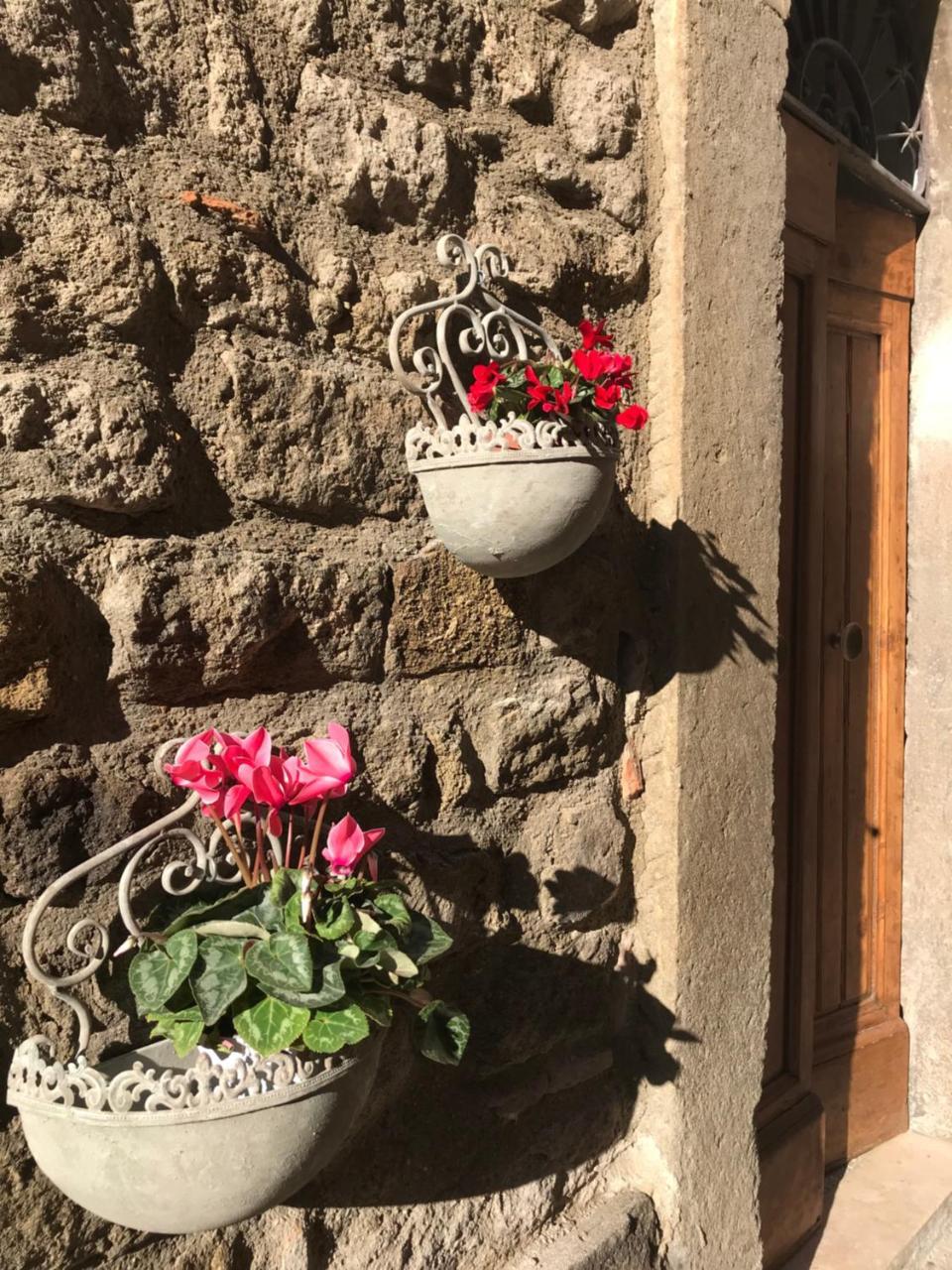 Il Gallo Viterbo Luaran gambar